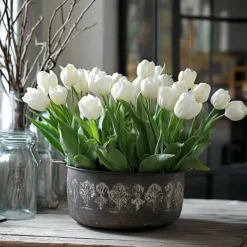 Best Tulipanløg - Sæt med 21 - Tulipa 'Northcap' - Blomsterløg - Gul Frø