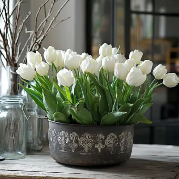 Best Tulipanløg - Sæt med 21 - Tulipa 'Northcap' - Blomsterløg - Gul Frø
