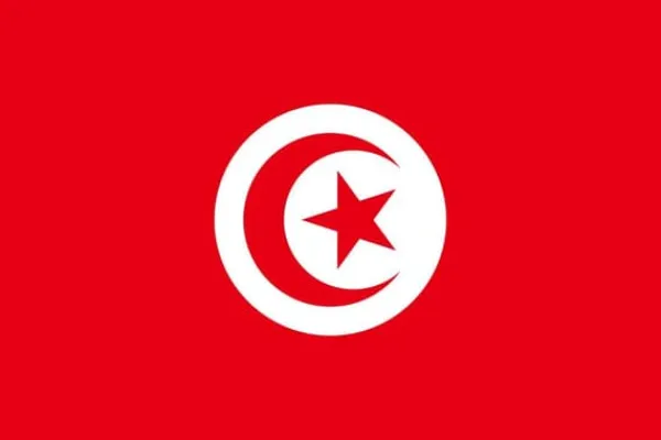 Outlet Tunesiens flag Flag & Vindposer