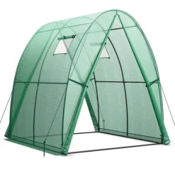 Udendørs drivhus, 6x6x6,6 ft, Grøn/Hvid Drivhus