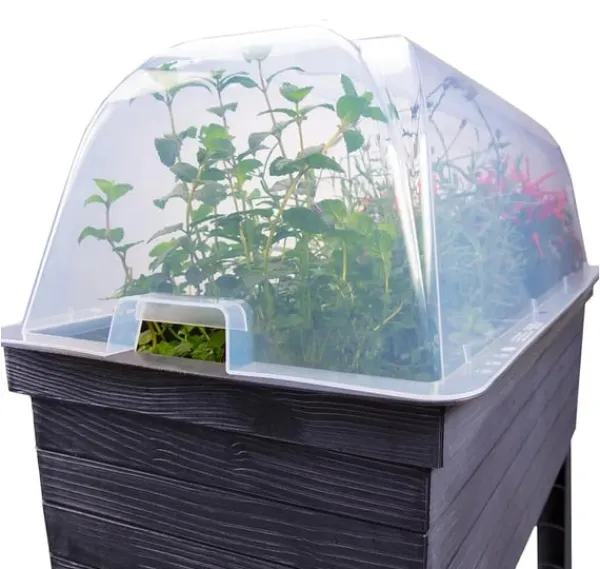 Drivhus^Urban cloche betræk