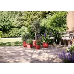 Best Urtepotte - ELHO - Amiga Rund 30 - Rød - L 30 x B 29,5 x H 22 cm - Udendørs - 100% genbrugt Krukker & Plantebeholdere
