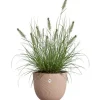 Outlet Urtepotte - ELHO - Sereh Rond 40 - Brun - Ø 39 x H 33 cm - 100% genbrugt Krukkeplanter Indendørs