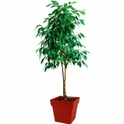 Krukker & Plantebeholdere^Urtepotte EDA Plastik 39 cm