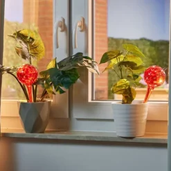 Best Vandingskugler sæt, 30x9 cm, Glas Vanding