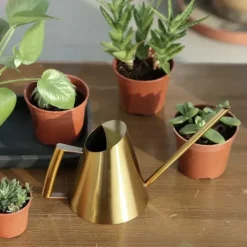 Vanding^Vandkande - Lille blomsterkande - Rustfrit stål 201 - Lang tud - 900 ml - Moderne design - Lakeret overflade - Guld
