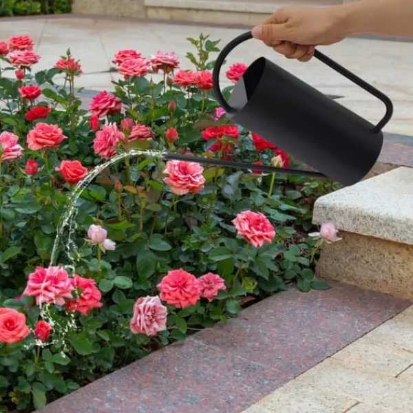 Best Vandkande - Rustfrit stål 201 - Lang tud - 1,4 L - Til stue- og hængeplanter - Bund Ø10 cm - Sort Vanding