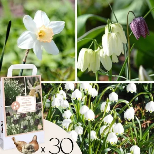 Frø^Våd Have Boks - 30 blomsterløg til fugtige og regnfulde steder