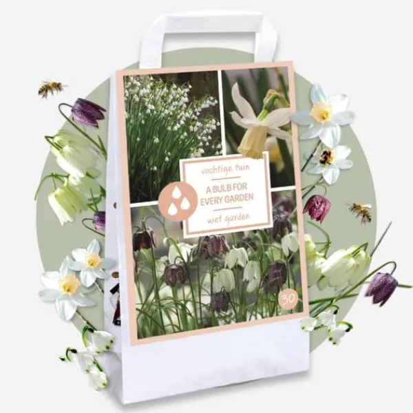 Frø^Våd Have Boks - 30 blomsterløg til fugtige og regnfulde steder