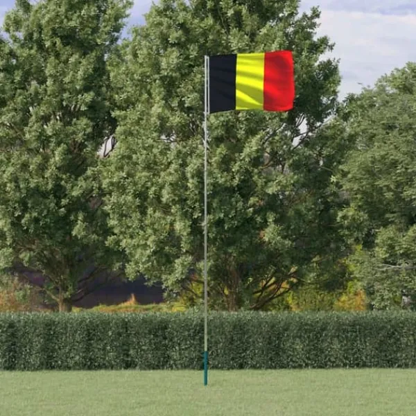 Clearance Belgien flag og flagstang 5,55 m aluminium - Flag & vimpler Flag & Vindposer
