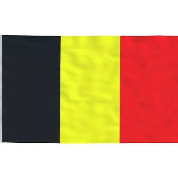 Clearance Belgien flag og flagstang 5,55 m aluminium - Flag & vimpler Flag & Vindposer