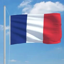 vidaXL Flag & Vindposer^det franske flag 90x150 cm