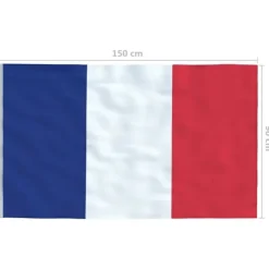 vidaXL Flag & Vindposer^det franske flag 90x150 cm
