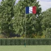 vidaXL Flag & Vindposer^Frankrig flag og flagstang 5,55 m aluminium