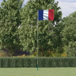 vidaXL Flag & Vindposer^Frankrig flag og flagstang 5,55 m aluminium
