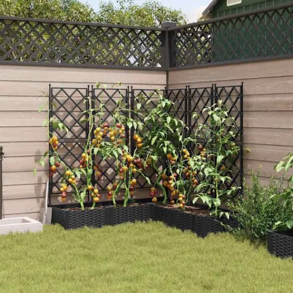Hot Havekrukke med trellis 5 pcs Sort 120 x 120 x 125.5 cm PP Plantestativer