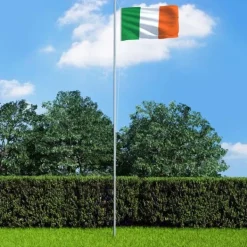 vidaXL Flag & Vindposer^Irlands flag 90x150 cm