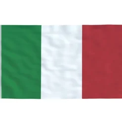 vidaXL Flag & Vindposer^Italien flag og flagstang 5,55 m aluminium
