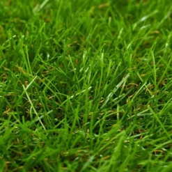 vidaXL Haveværktøj^kunstgræs 1x5 m/30 mm grøn - Kunstig flora