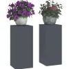 vidaXL Plantestativer^Planteholdere 2 pcs Antracit 24 x 24 x 55 cm Stål