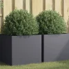vidaXL Krukker & Plantebeholdere^plantekasser 2 stk. 49x47x46 cm koldvalset stål antracitgrå - Plantekrukker