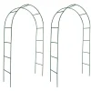 vidaXL Buer, Spalier, Lysthuse Uden Tag^rosenbue 2 stk. til klatreplanter - Havebuer, espalierer & pergolaer