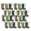 Haveplanter^Vin - Sæt med 24 - Vitis vinifera - Højde 25-40cm - ⌀9cm