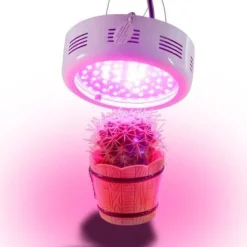 Krukkeplanter Indendørs^Växtlampa GROWFLOW, 50W LED med optimal våglängd, NASA Lila och Blå
