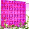 Krukkeplanter Indendørs^Væxtlampe Hængende LED-panel – Væxtbelysning