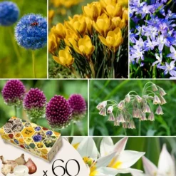 Online Wild Bee Hotel Box - 60 blomsterløg - Byg bihotel instruktion - Vinterhårdfør Frø