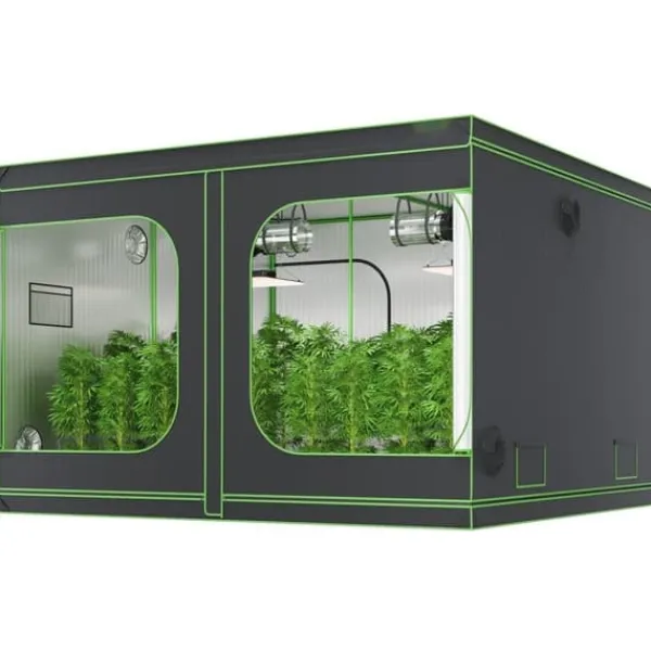 Best 10x10 hydroponisk voksetelt, 120'' x 120'' x 80'', højreflekterende 600D Mylar med vindue, værktøjstaske og gulvbakke til indendørs planter. Drivhus