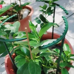 Krukker & Plantebeholdere^4x Plantestøtter til potteplanter