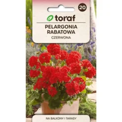 Outlet Zonal geranium rød frø - Farverige blomster til altaner og blomsterbede Frø