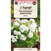 Frø^Zonalgeranium frø hvid - Pragtfuld blomstring til krukker og bede