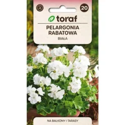 Frø^Zonalgeranium frø hvid - Pragtfuld blomstring til krukker og bede