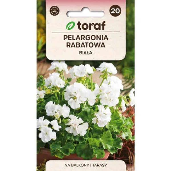 Frø^Zonalgeranium frø hvid - Pragtfuld blomstring til krukker og bede